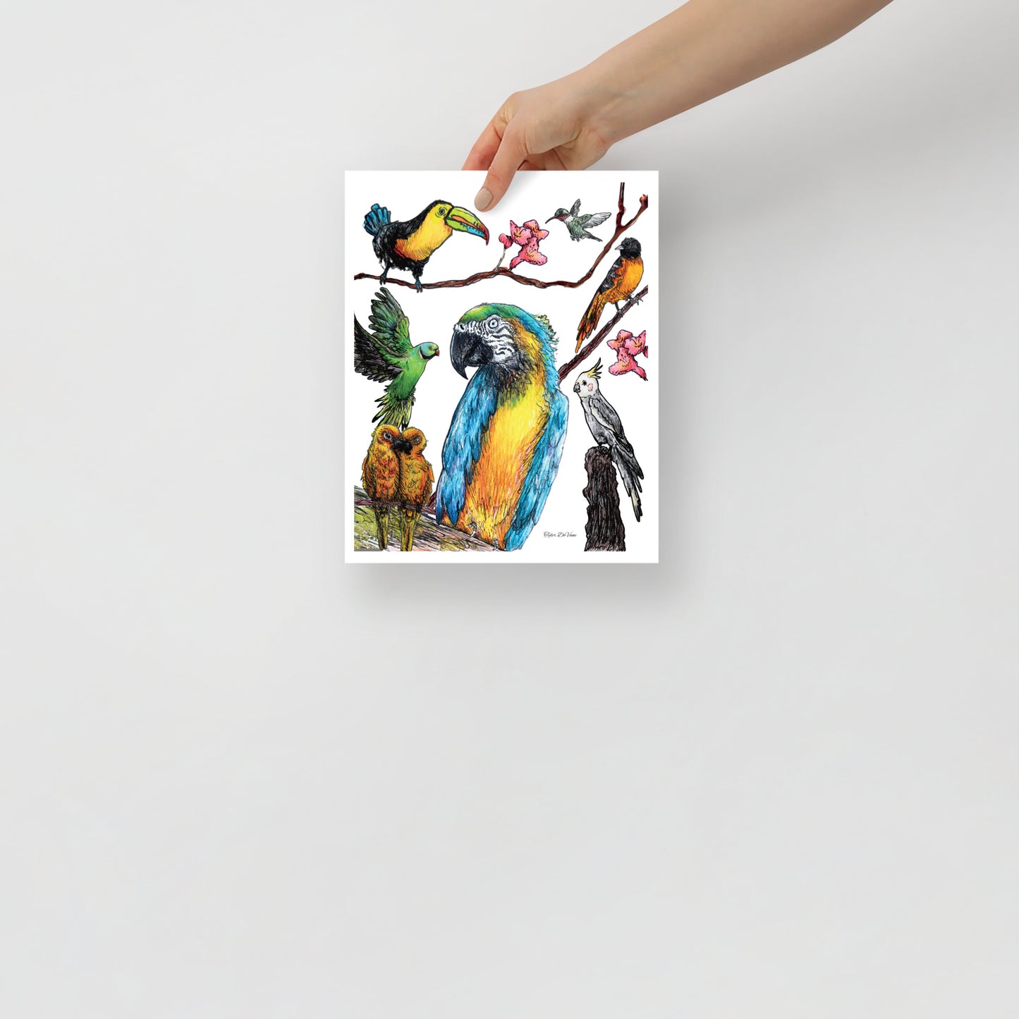 Birds by Tyler DeVane Poster
