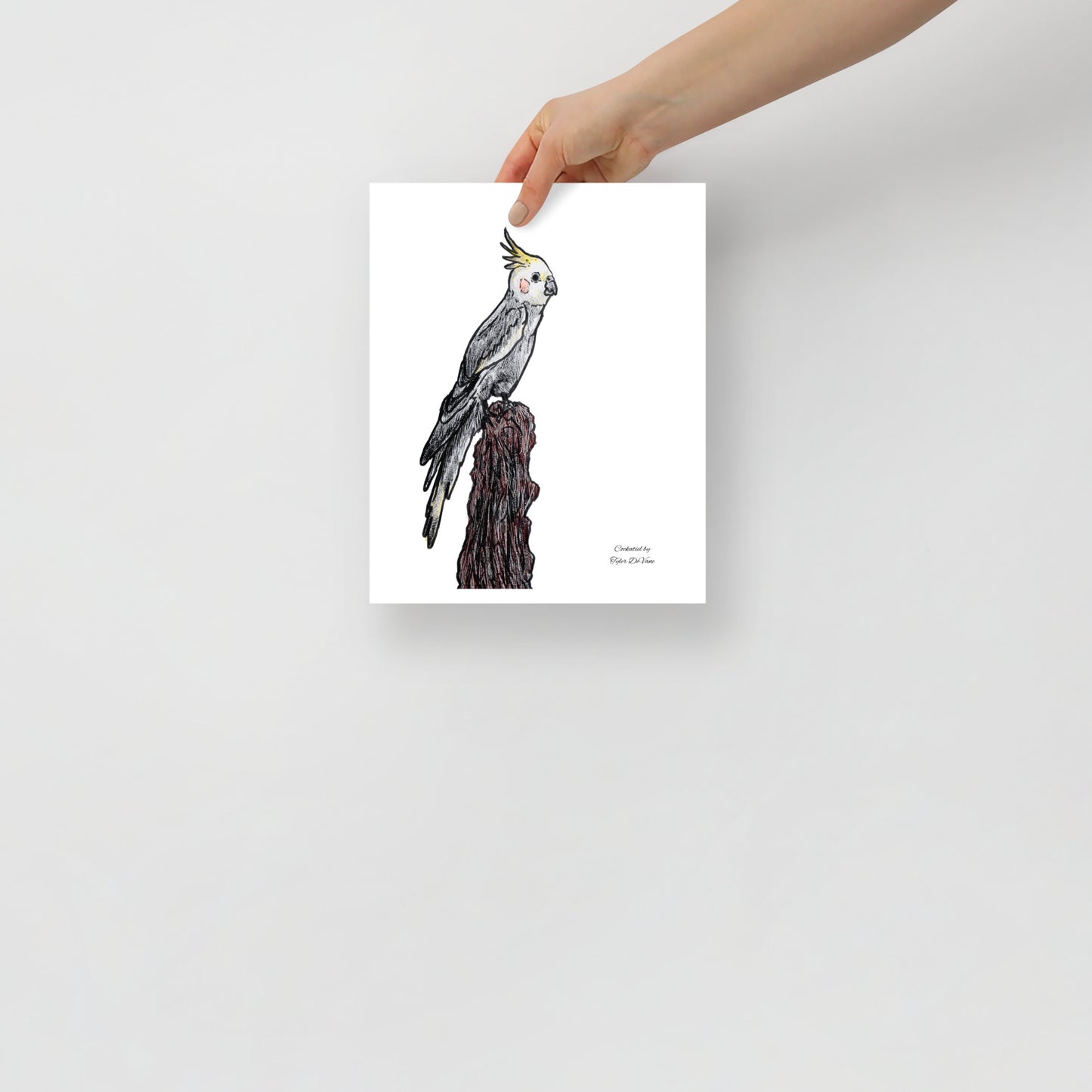 Cockatiel by Tyler DeVane Poster